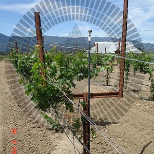 Trellising Systems